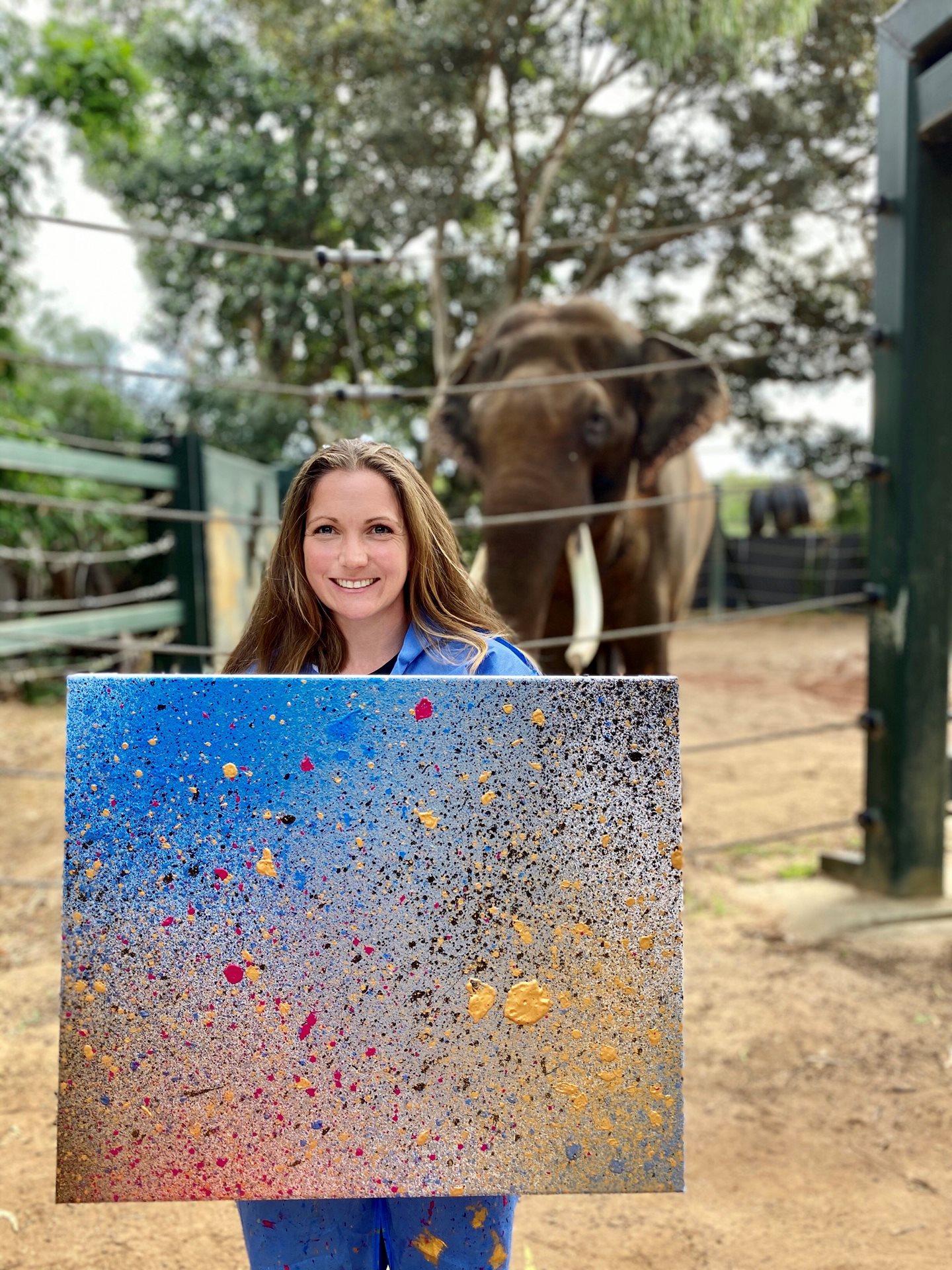 bull-elephant-art-spray-perth-zoo